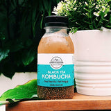 Craft & Culture - Kombucha, Kefir & Probiotics Singapore:,Ginger-Chia Black Tea Kombucha