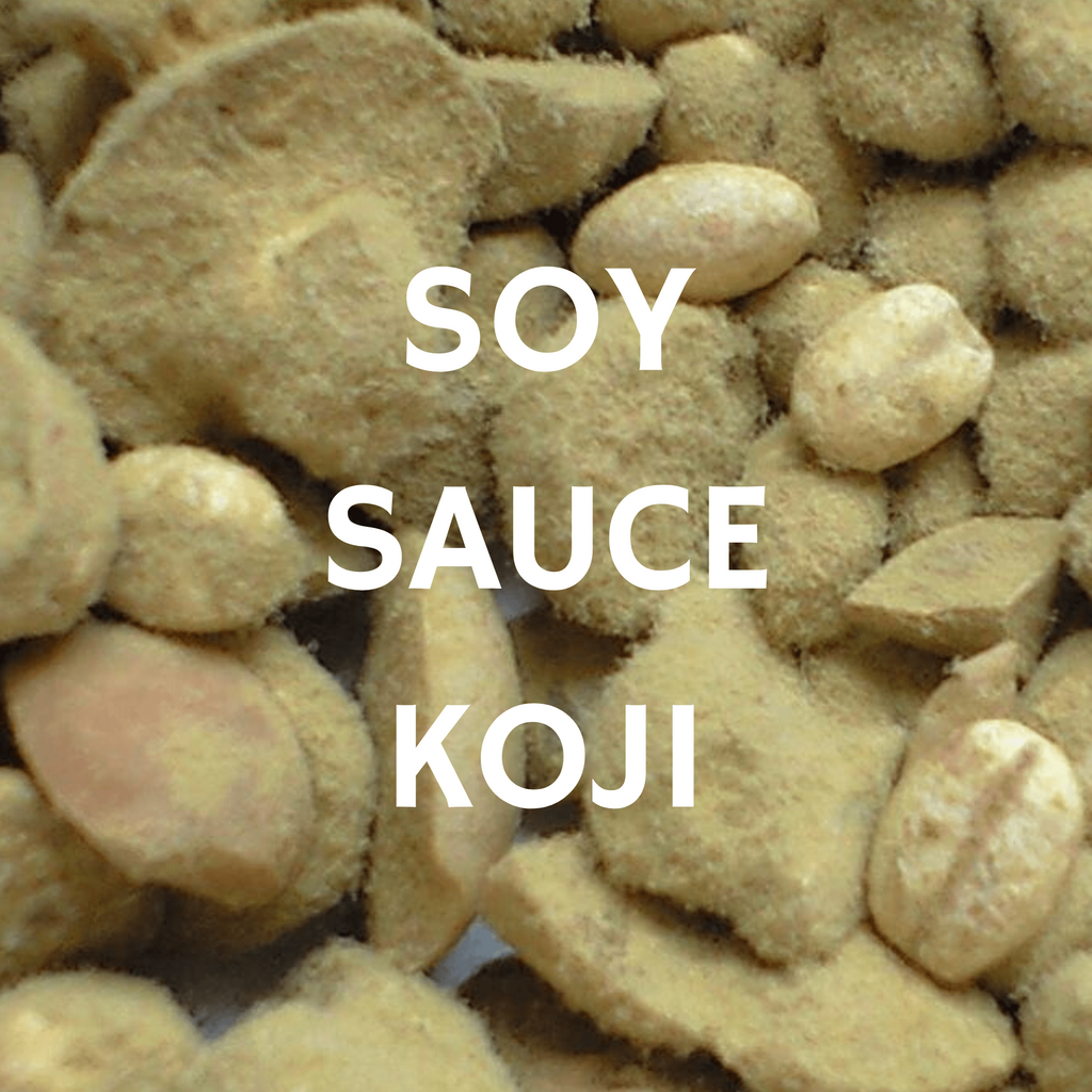 Koji Starter Cultures for Soy Sauce Craft & Culture