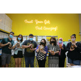 Craft & Culture - Kombucha, Kefir & Probiotics Singapore:Workshops,[NEW VIRTUAL CLASS] Kombucha Workshop - MASTERCLASS