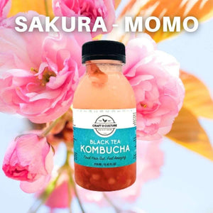 [Limited Edition] Sakura Peach Black Tea Kombucha - Craft & Culture - Kombucha, Kefir & Probiotics Singapore