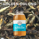 [SAMPLER 6] Chinese Tea Kombucha - Craft & Culture - Kombucha, Kefir & Probiotics Singapore