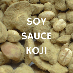 Koji Starter Cultures for Soy Sauce - Craft & Culture - Kombucha, Kefir & Probiotics Singapore