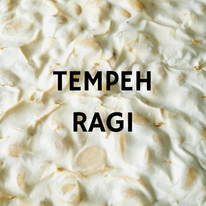 Starter Cultures for Tempeh (Ragi) - Craft & Culture - Kombucha, Kefir & Probiotics Singapore