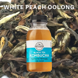 [Seasonal] White Peach Oolong Green Tea Kombucha - Craft & Culture - Kombucha, Kefir & Probiotics Singapore